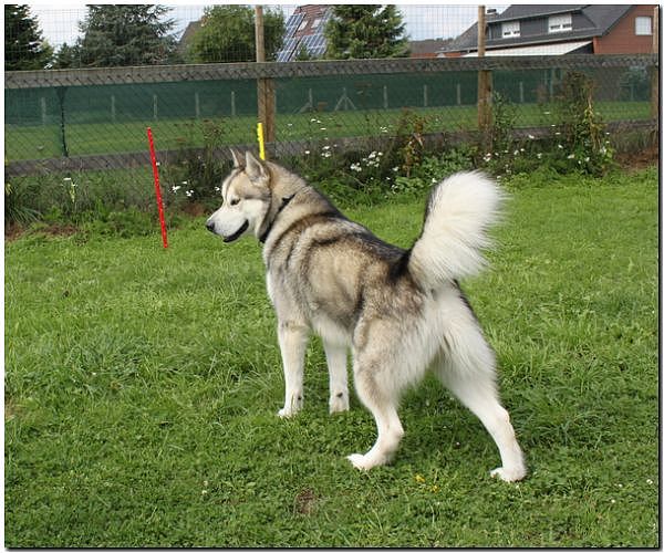 Besuch Nanooq 264.jpg